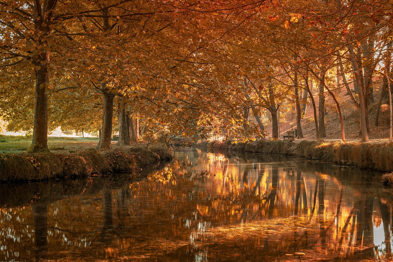 Migrationsdynamik in Spanien: Ein Anstieg der ausländischen Bevölkerung seit 2021